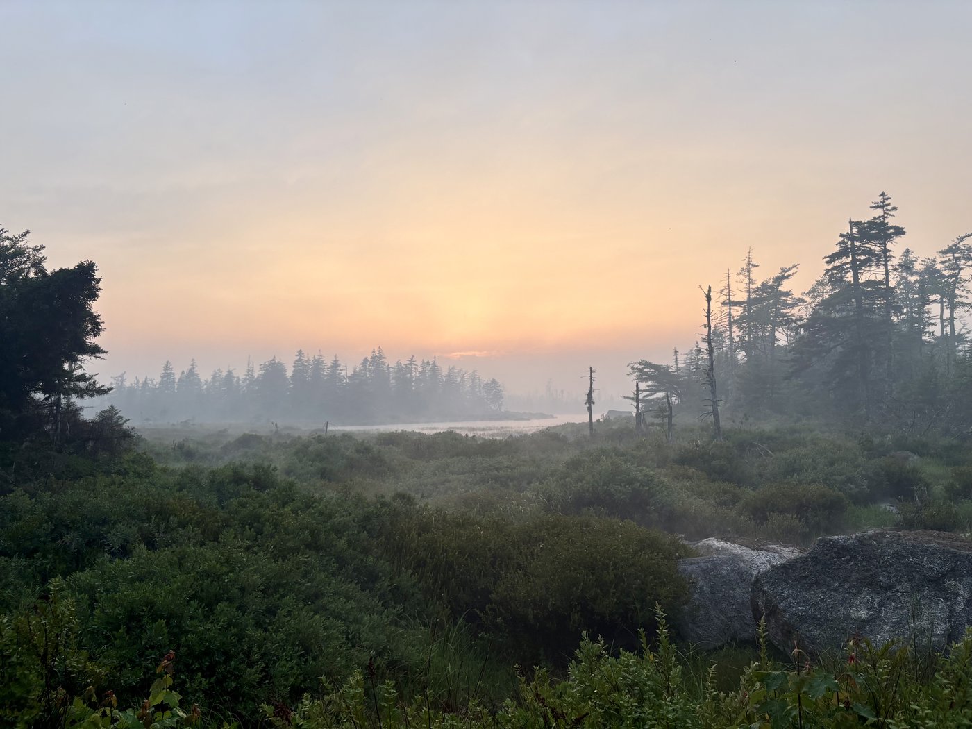 Fires from coast to coast: A look at the wildfire situation across the country | iNFOnews.ca Fires from coast to coast: A look at the wildfire situation across the country | iNFOnews.ca