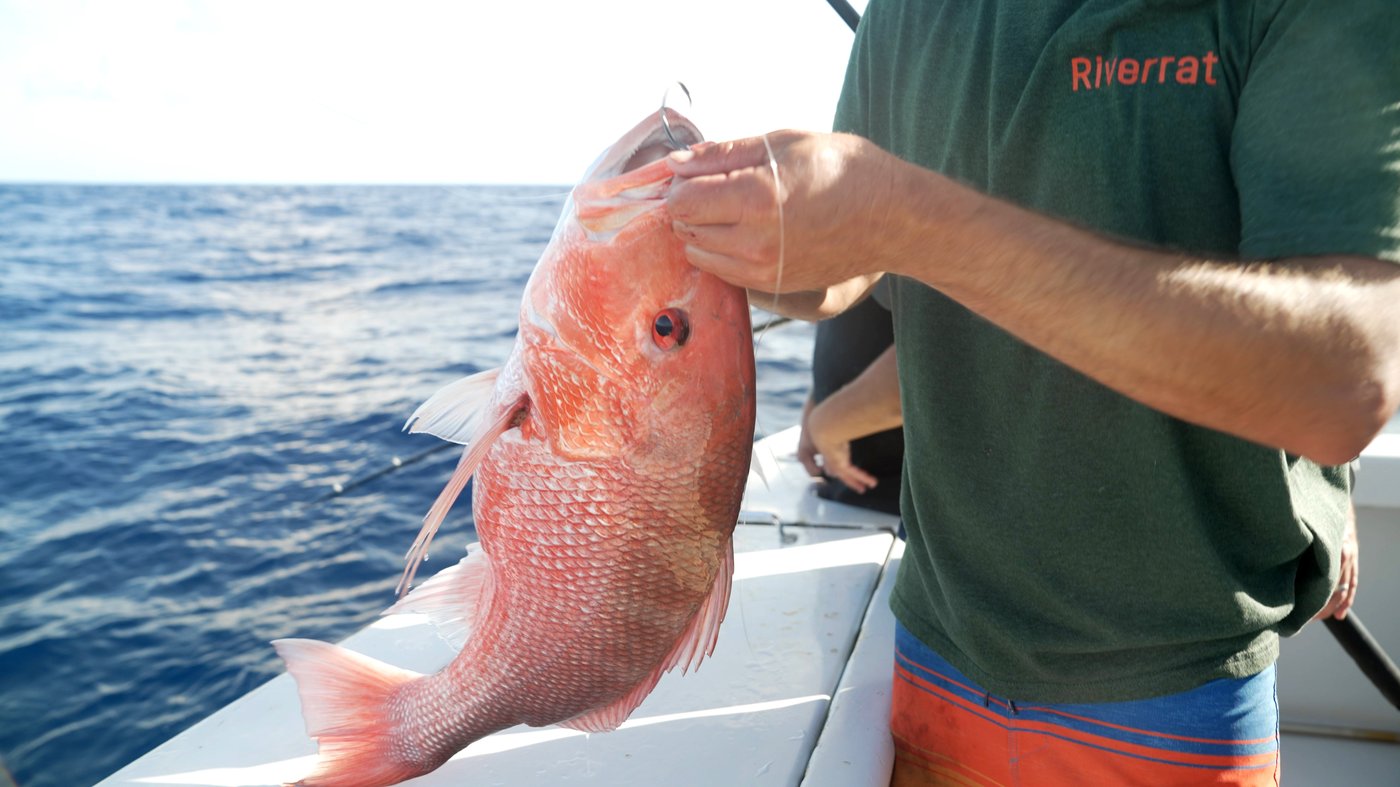 A fish fight off Florida tests Trump’s drive to deregulate America’s seas | iNFOnews.ca