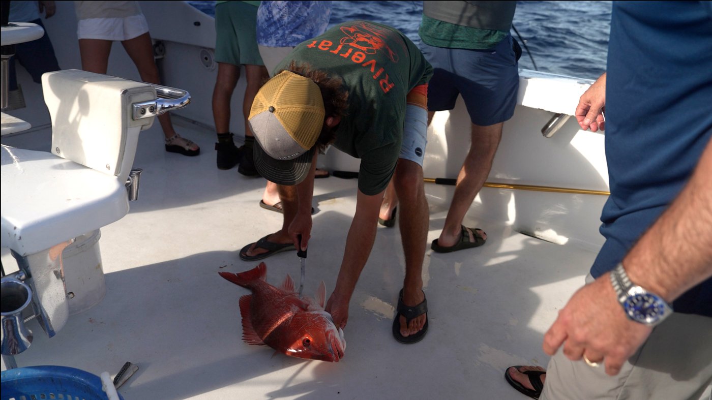 A fish fight off Florida tests Trump’s drive to deregulate America’s seas | iNFOnews.ca