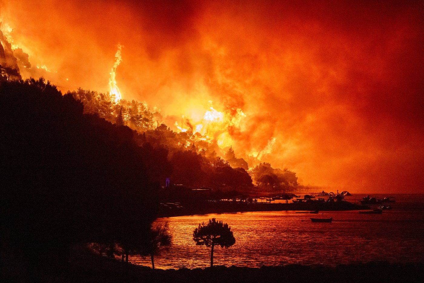 The top photos of the day by AP's photojournalists | iNFOnews.ca