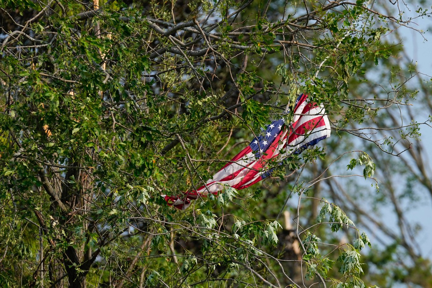 Twisted trees, crushed cars and shattered homes in Wisconsin, in photos | iNwheels