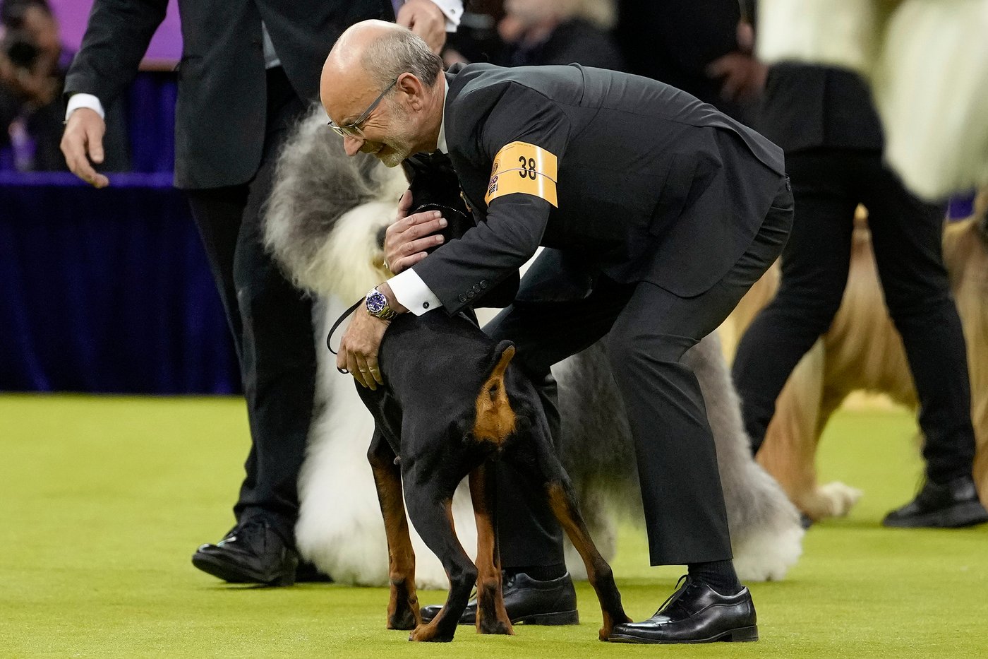 Penny the Doberman pinscher wins the 150th Westminster dog show | iNFOnews.ca