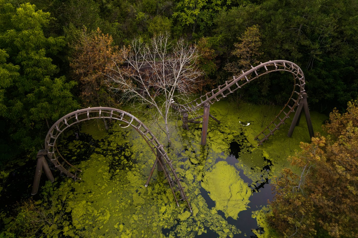 Everyone loved Marineland - then the tide turned. A look inside the park's final days | iNFOnews.ca