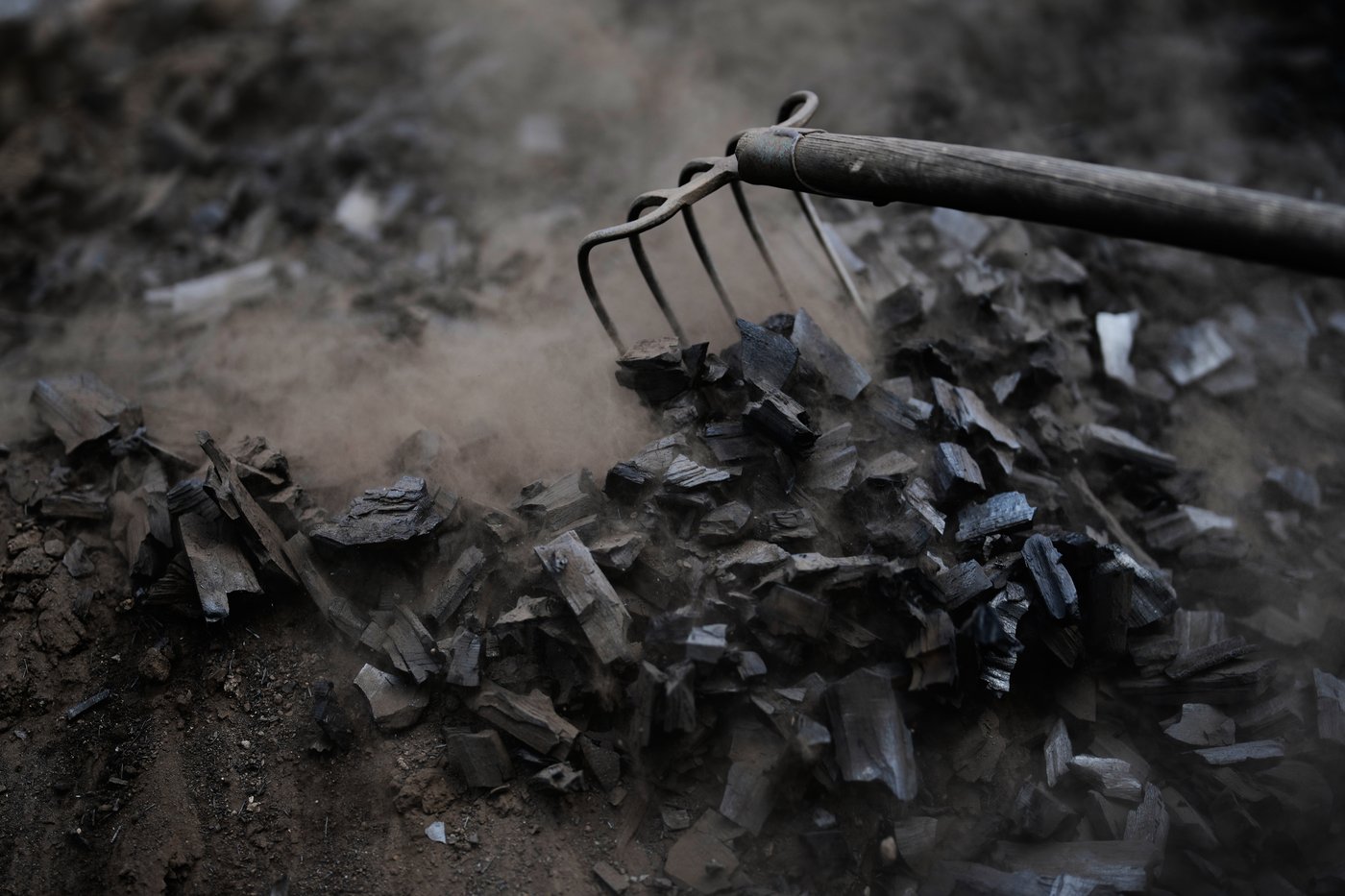 Brothers keep Germany’s ancient charcoal-burning tradition alive, in photos | iNFOnews.ca