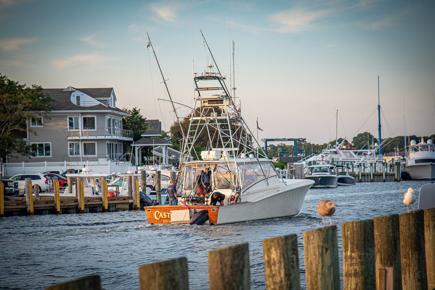 Charter boat hauls in 1,260-pound blue marlin believed to be East Coast's largest catch | iNFOnews.ca Charter boat hauls in 1,260-pound blue marlin believed to be East Coast's largest catch | iNFOnews.ca