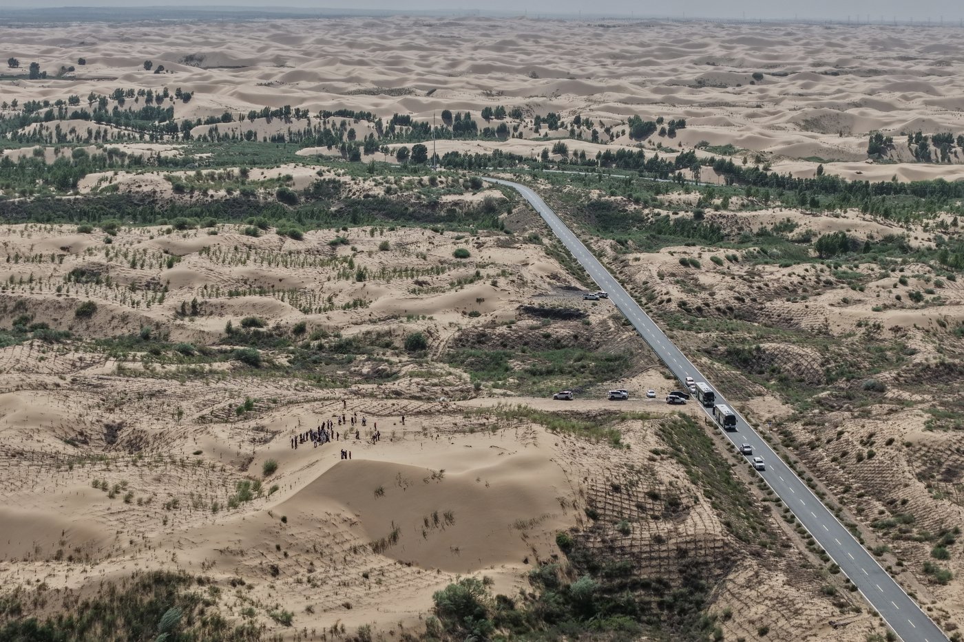 China’s 'Green Great Wall' tames desert growth, but scientists warn the fight is not over | iNFOnews.ca China’s 'Green Great Wall' tames desert growth, but scientists warn the fight is not over | iNFOnews.ca