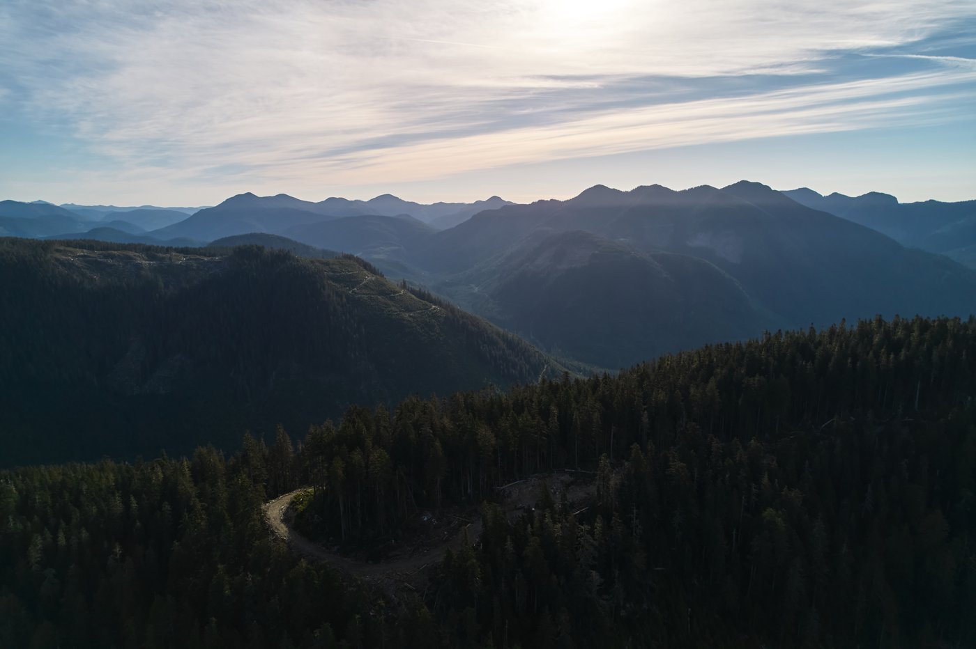 British Columbia is logging its last old growth. Protesters are sleeping in the road to stop it | iNFOnews.ca British Columbia is logging its last old growth. Protesters are sleeping in the road to stop it | iNFOnews.ca
