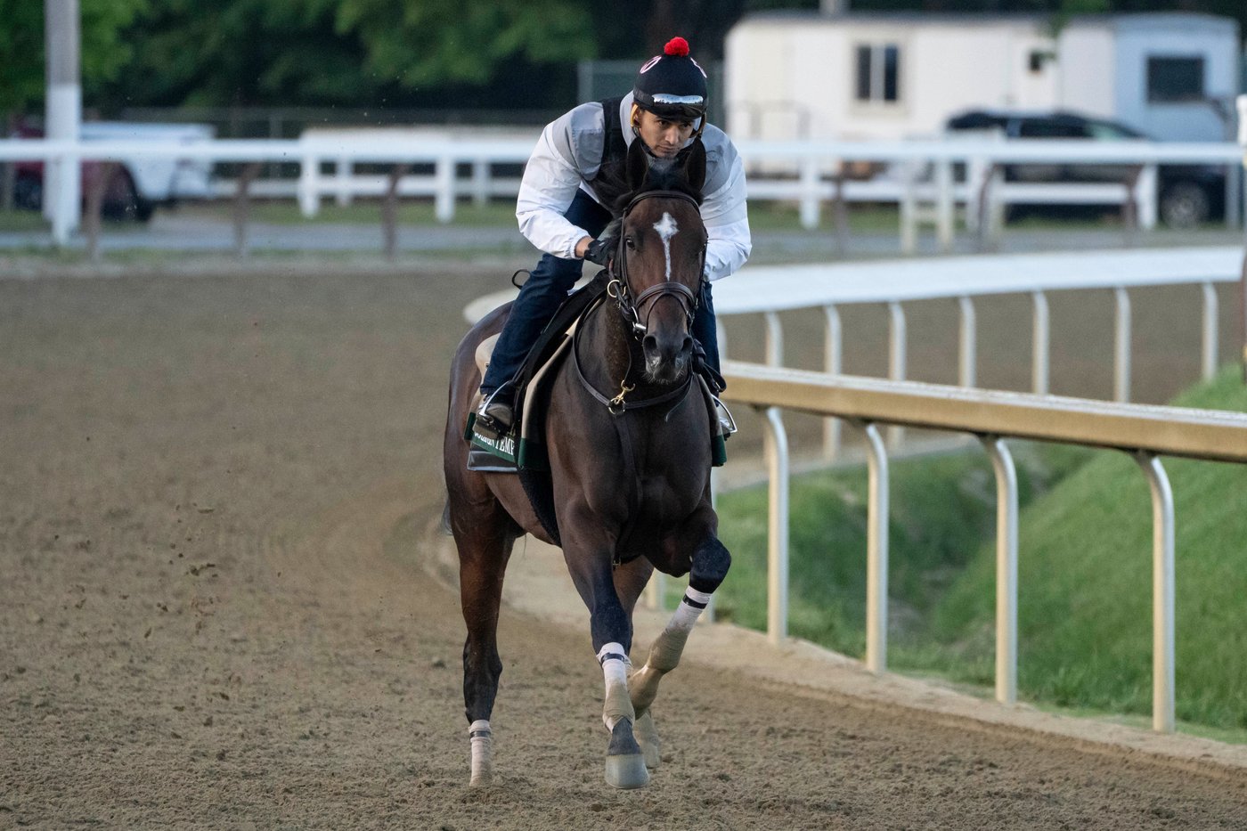 Kentucky Derby winner Golden Tempo faces a pace challenge in the Belmont Stakes | iNFOnews.ca