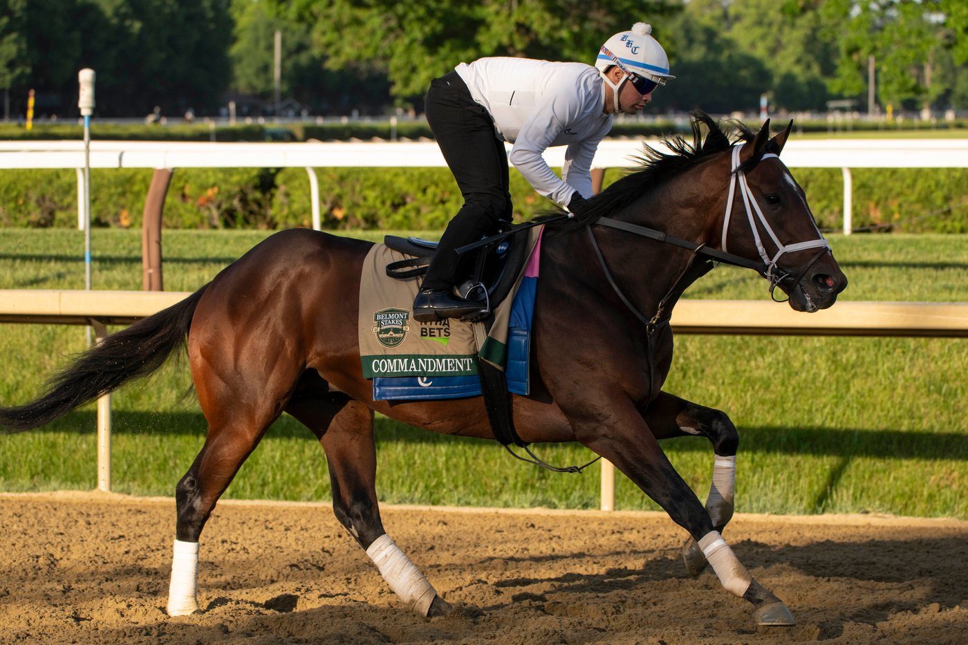 Kentucky Derby winner Golden Tempo faces a pace challenge in the Belmont Stakes | iNFOnews.ca