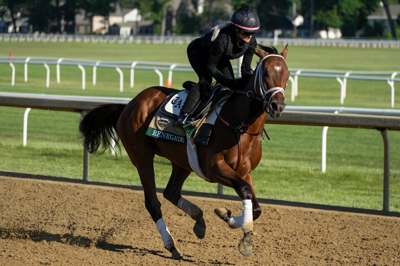 Kentucky Derby winner Golden Tempo faces a pace challenge in the Belmont Stakes | iNFOnews.ca