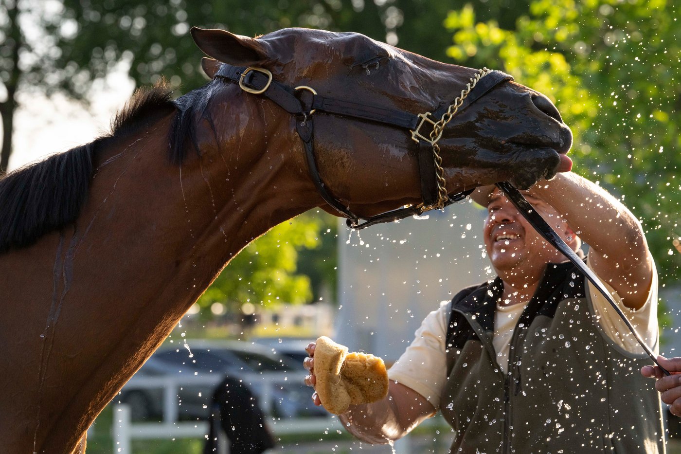 Kentucky Derby winner Golden Tempo faces a pace challenge in the Belmont Stakes | iNFOnews.ca