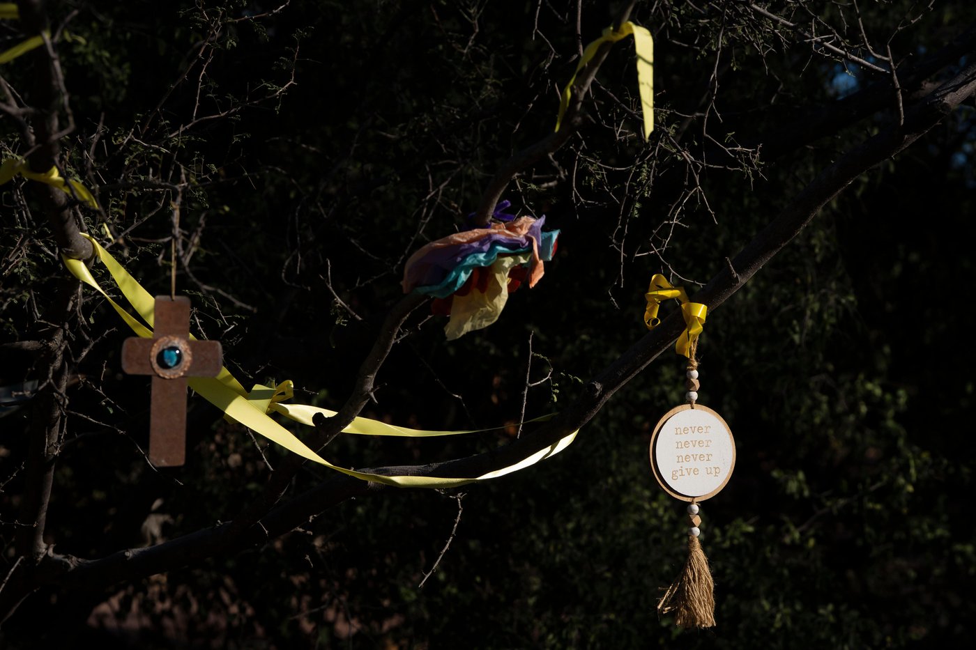 Families with missing loved ones like Nancy Guthrie face ambiguous loss. It freezes grief | iNFOnews.ca