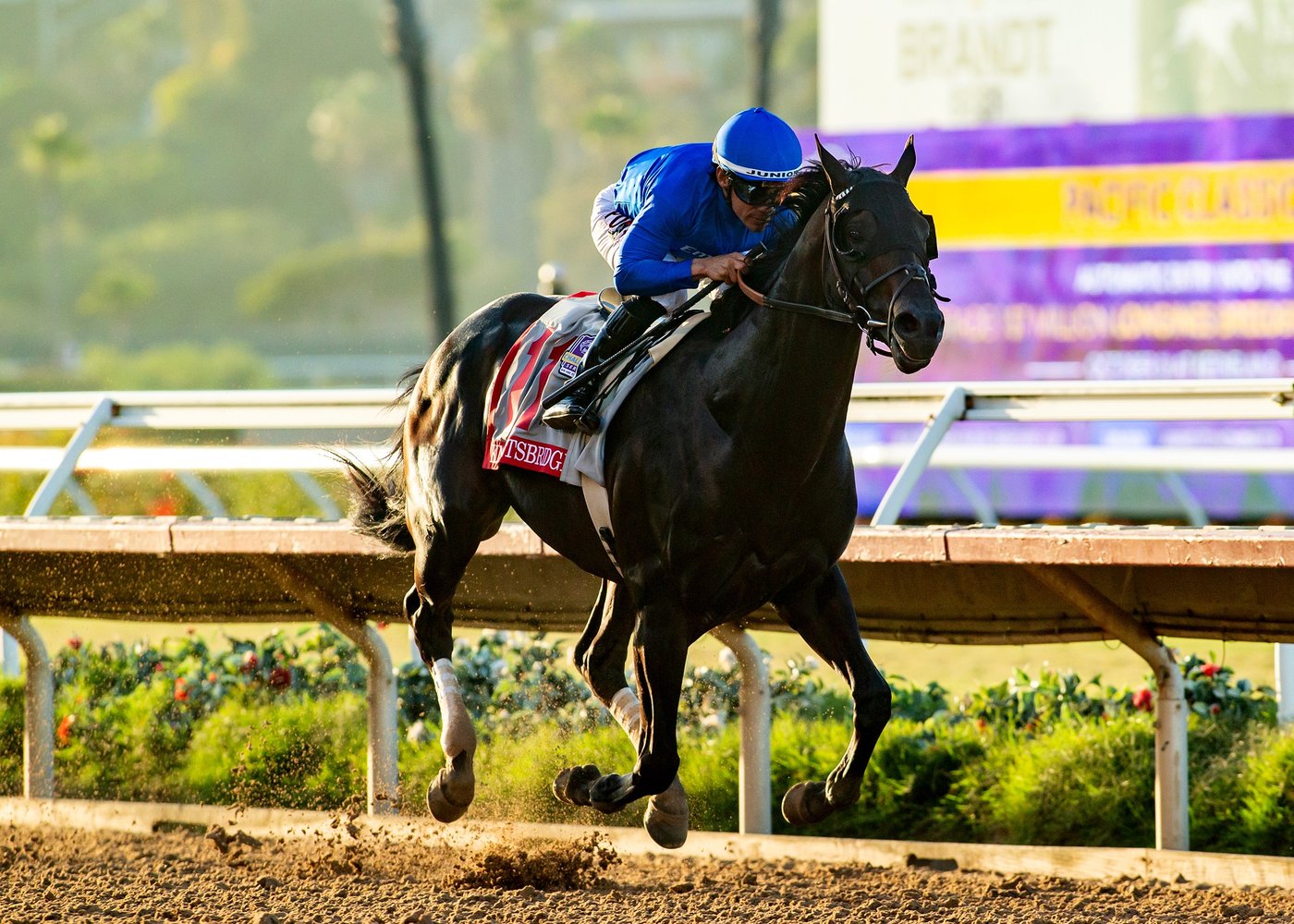 Knightsbridge pulls away to win the $1M Pacific Classic by 6 1/4 lengths | iNFOnews.ca Knightsbridge pulls away to win the $1M Pacific Classic by 6 1/4 lengths | iNFOnews.ca