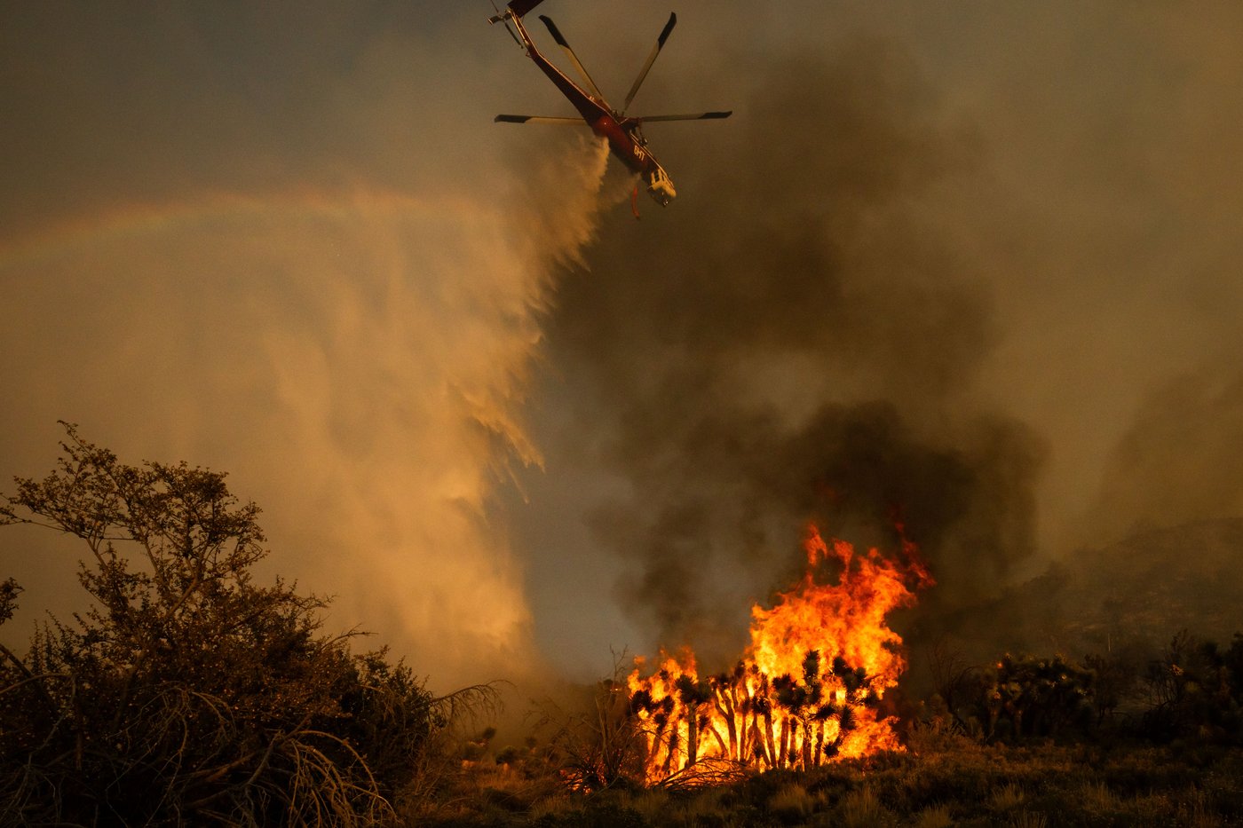 Rapidly growing wildfire in Los Angeles County prompts evacuations in remote high desert | iNFOnews.ca