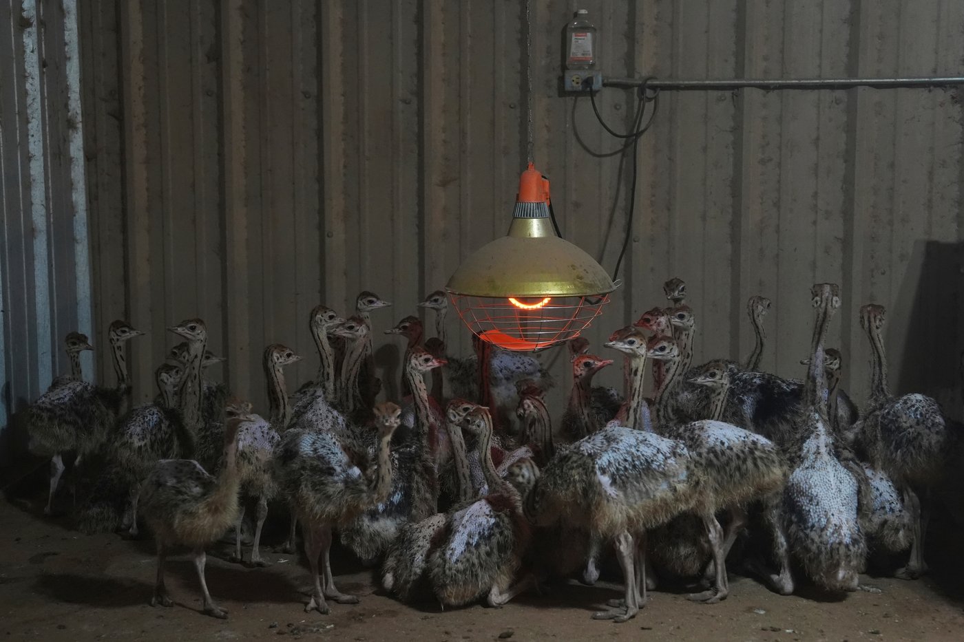 The top 100 photos of 2025 from The Associated Press: Images that defined the year | iNFOnews.ca