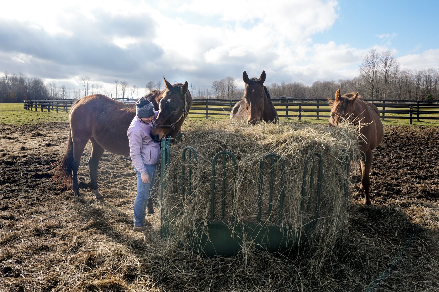 How horses helped champion jockey Eurico Rosa da Silva heal and help others | iNFOnews.ca
