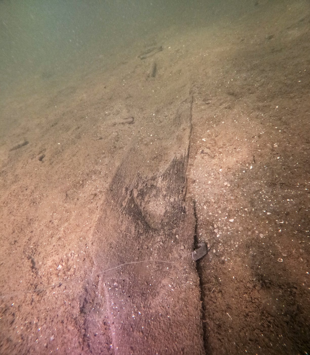 Wisconsin archaeologists identify 16 ancient canoes in a prehistoric lake 'parking lot' | iNFOnews.ca
