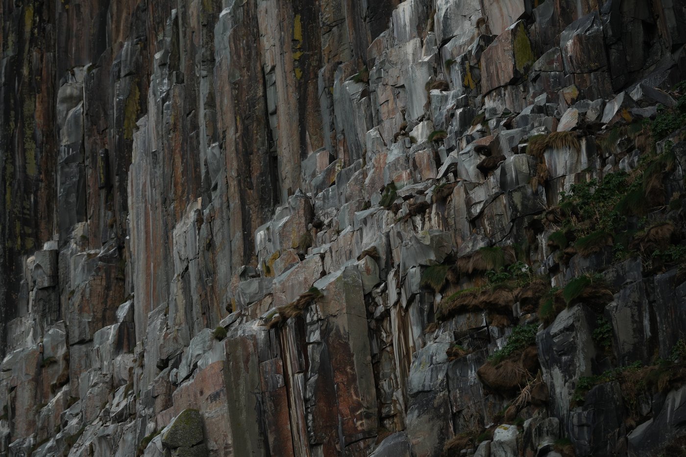 PHOTO ESSAY: Scottish island Ailsa Craig is the granite source for Olympic curling stones | iNFOnews.ca