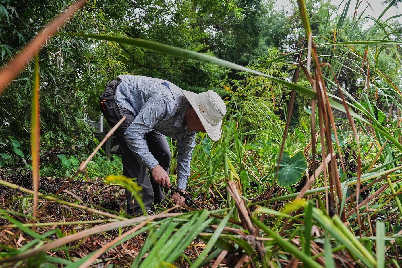 How friends in South Carolina are restoring a wetland and bringing their neighborhood together | iNFOnews.ca