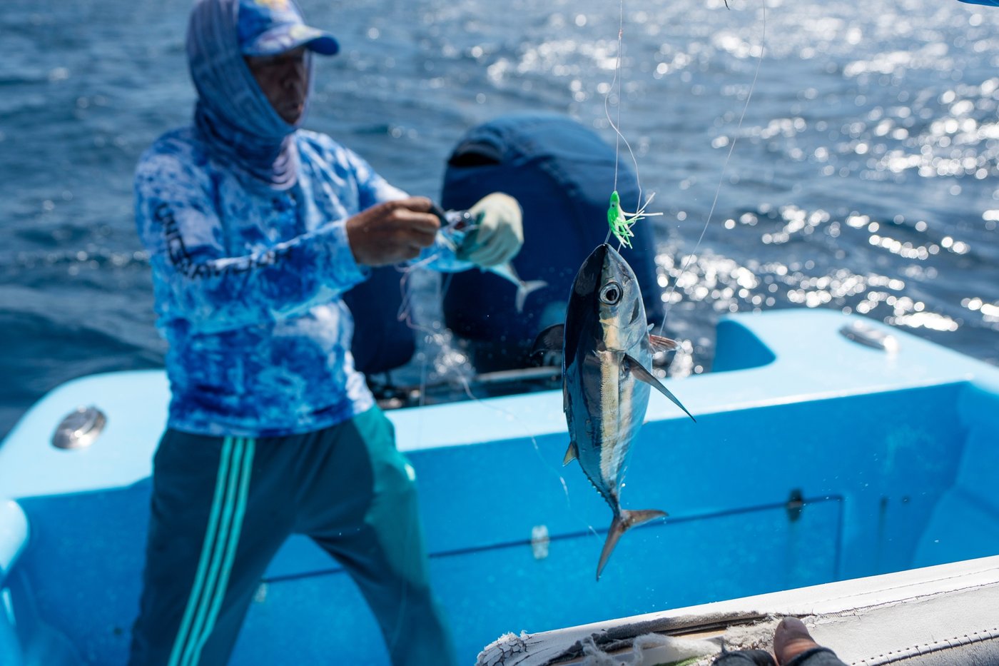 As reefs vanish, assisted coral fertilization offers hope in the Dominican Republic | iNFOnews.ca As reefs vanish, assisted coral fertilization offers hope in the Dominican Republic | iNFOnews.ca