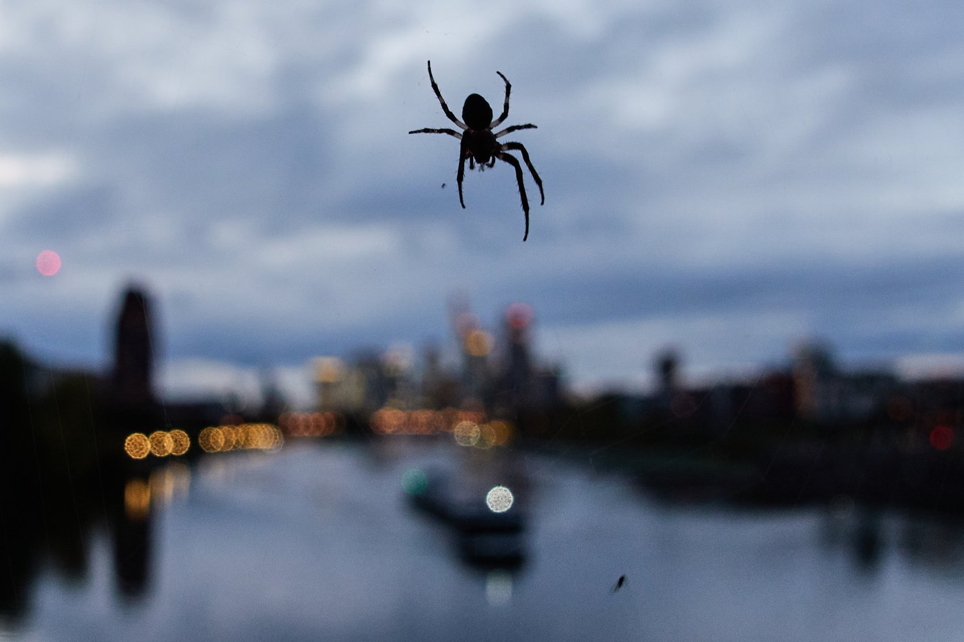 The top photos of the day by AP's photojournalists | iNFOnews.ca