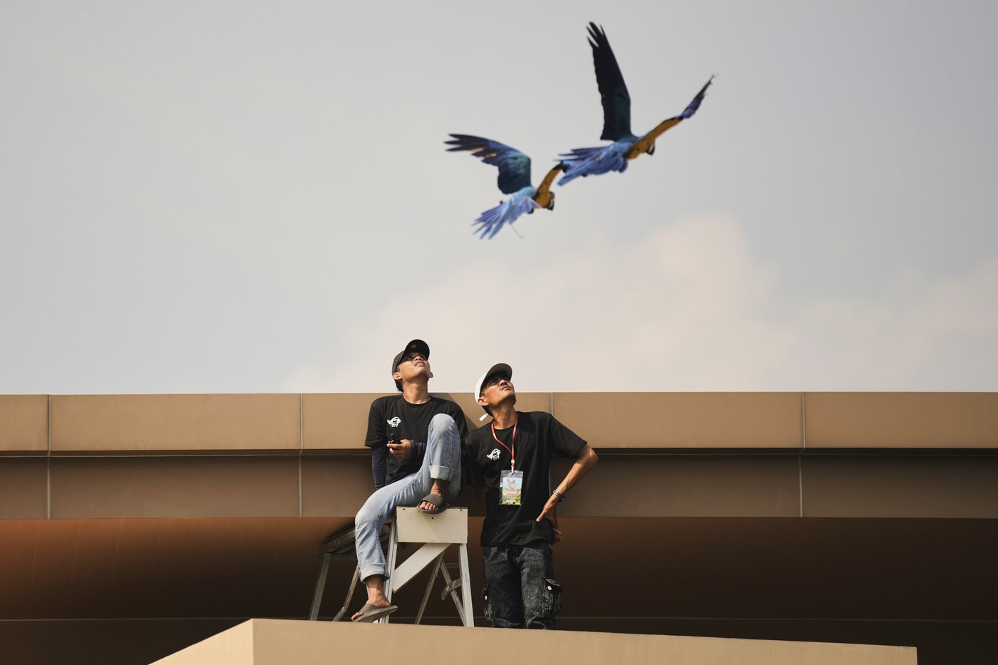 Photos show how an Indonesian motorbike mechanic became a macaw trainer | iNFOnews.ca