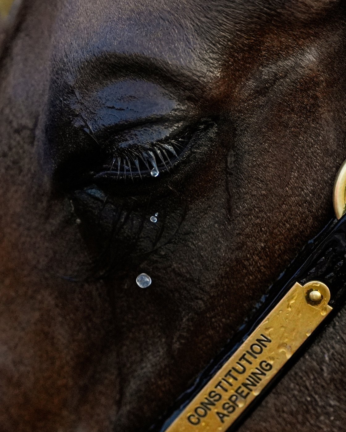See the world in vertical: Top photos by AP's photojournalists in 2025 | iNFOnews.ca