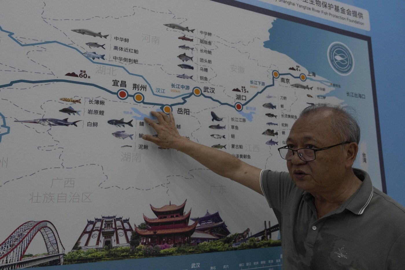 Photos show scientists breeding rare and endangered animals in China’s longest river | iNFOnews.ca