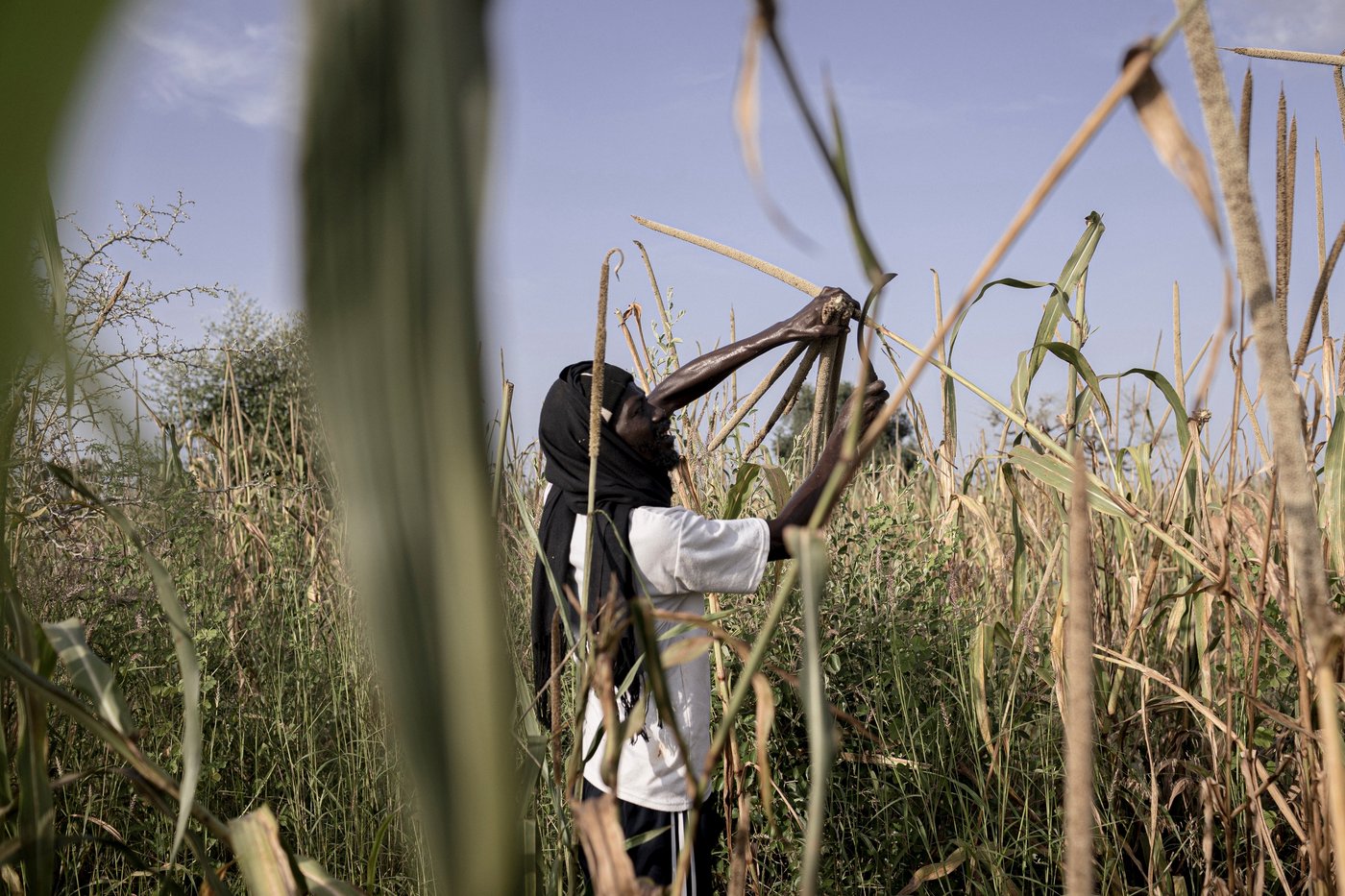 In Senegal, climate change is adding to historic tension between farmers and herders | iNFOnews.ca