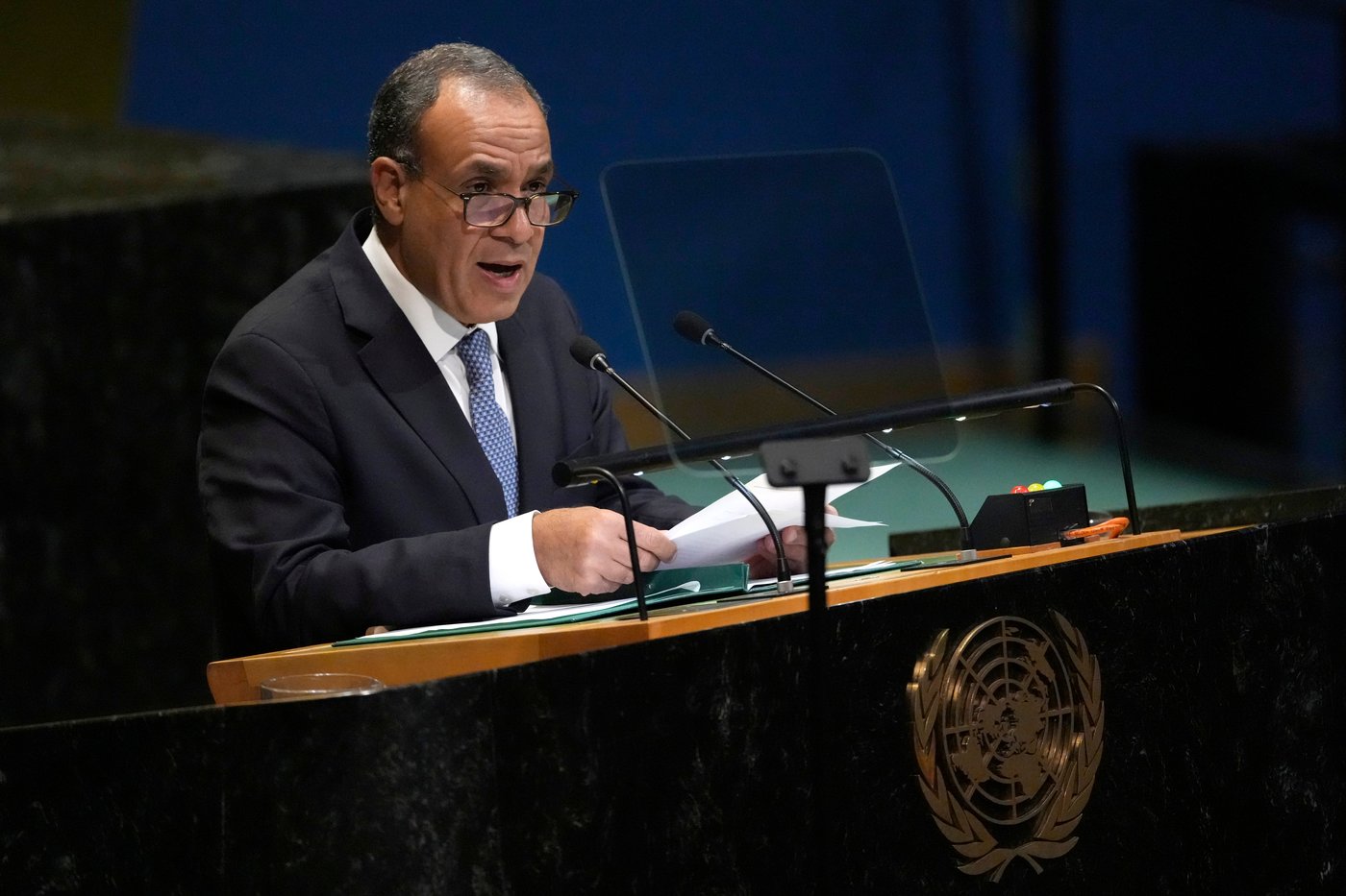 Mideast nations confront chaos in their region, which Egypt warns 'is at a point of implosion' | iNFOnews.ca