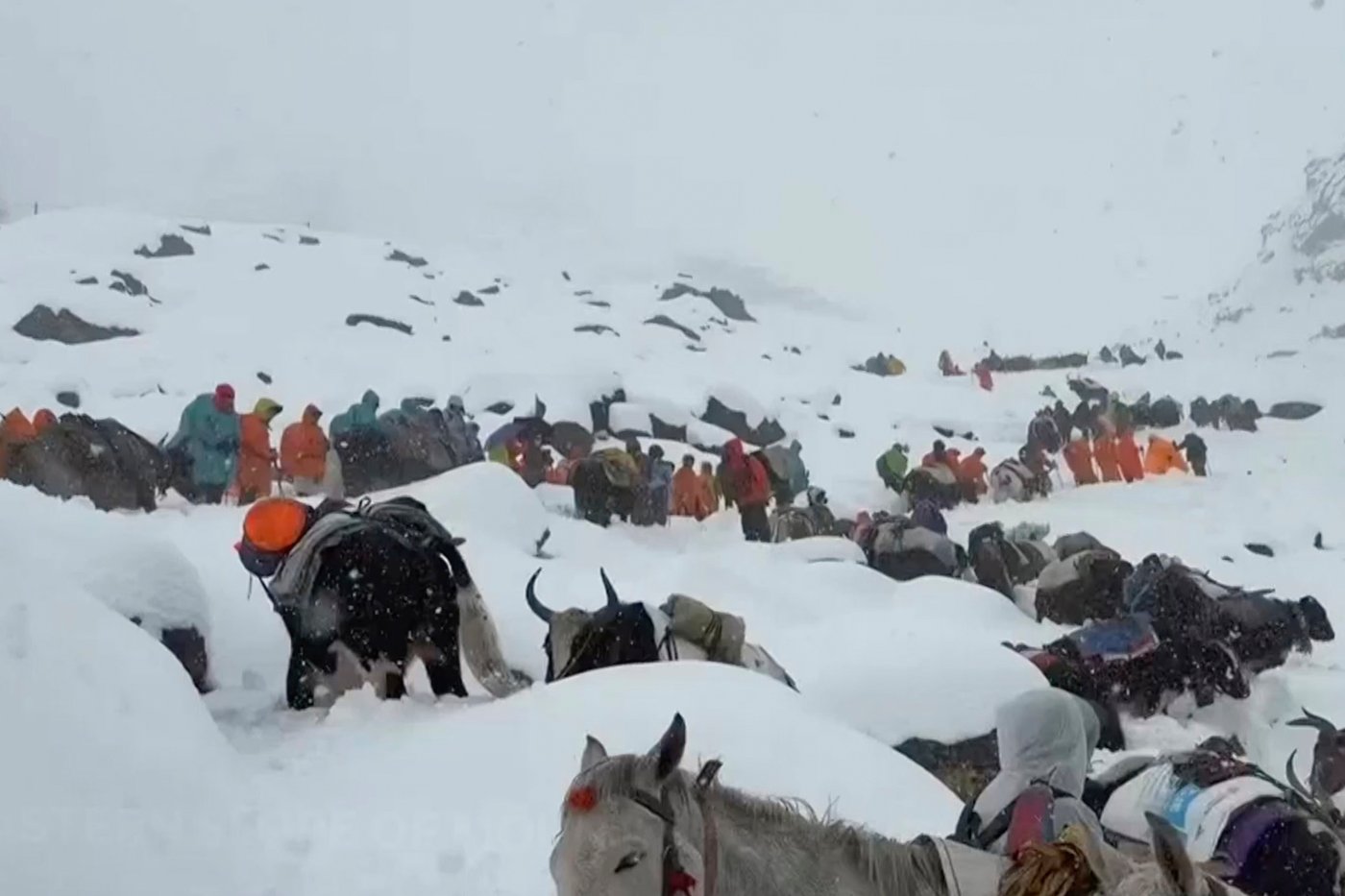 Snowstorms strand hikers in China and a South Korean climber dies in Nepal | iNFOnews.ca