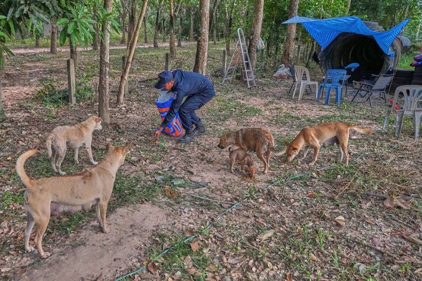 Thai villagers stay behind to guard empty homes as border clashes force mass evacuations | iNFOnews.ca Thai villagers stay behind to guard empty homes as border clashes force mass evacuations | iNFOnews.ca