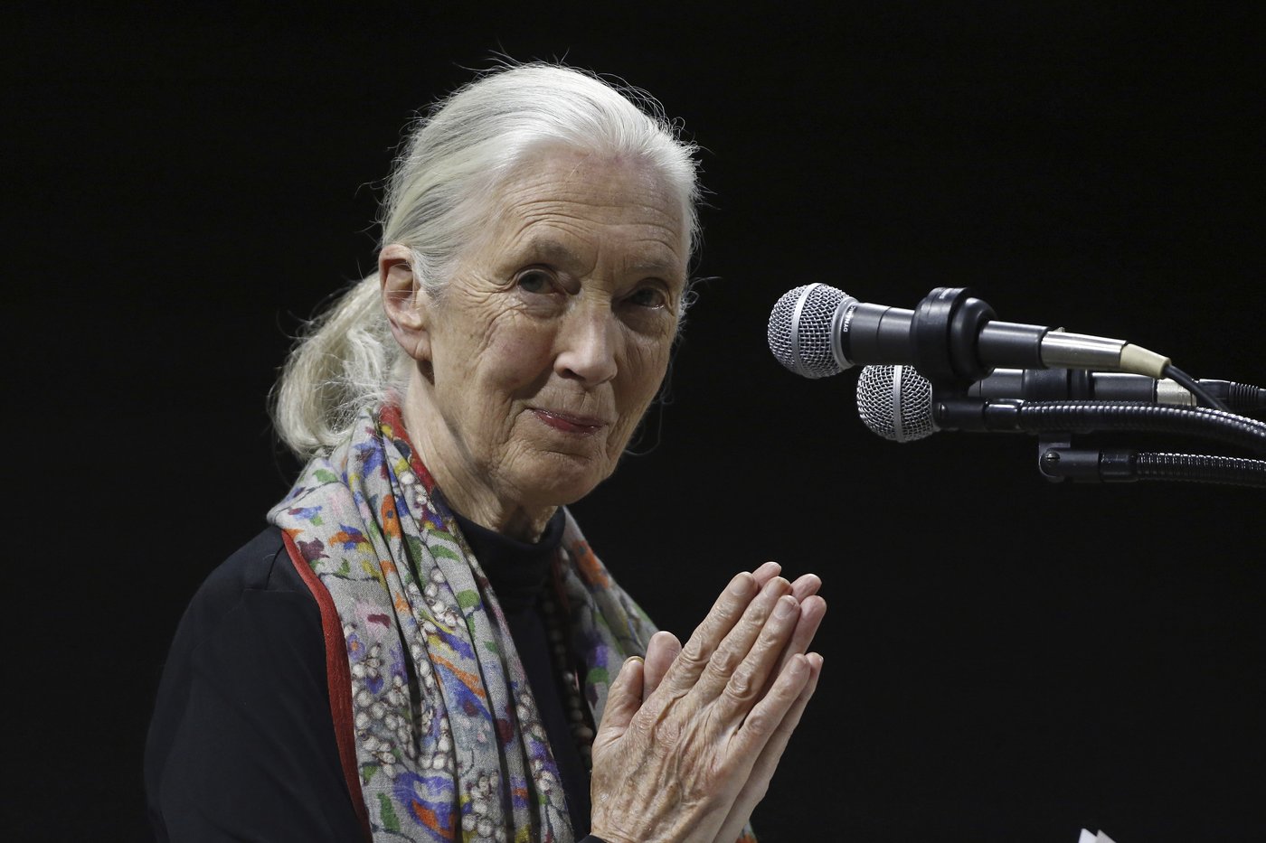 Jane Goodall, the celebrated primatologist and conservationist, has died | iNFOnews.ca