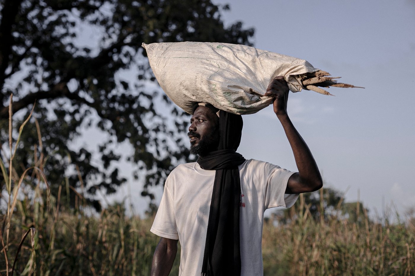 In Senegal, climate change is adding to historic tension between farmers and herders | iNFOnews.ca