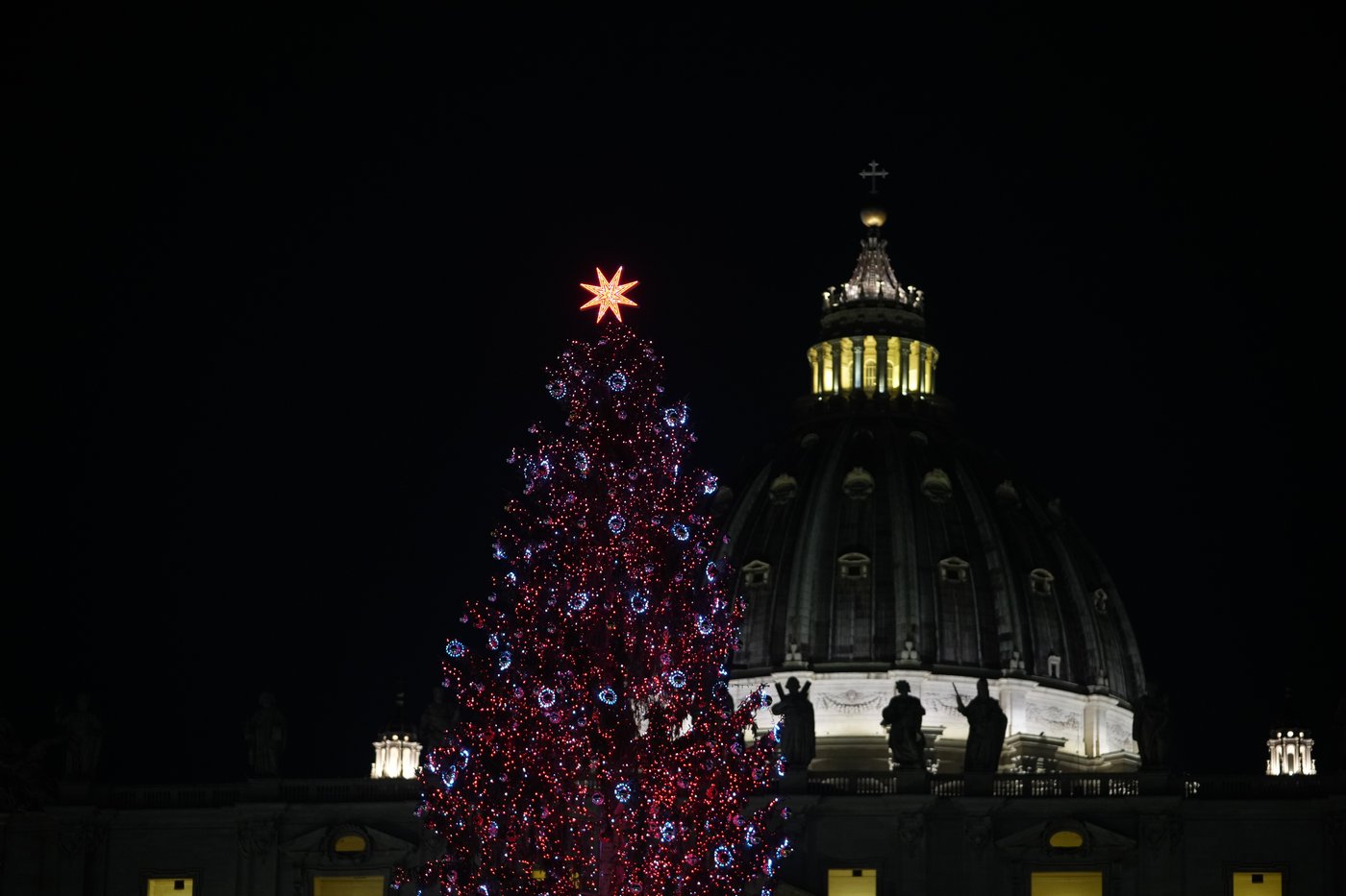 Vatican unveils Nativity scene, lights Christmas tree in St. Peter’s Square | iNFOnews.ca