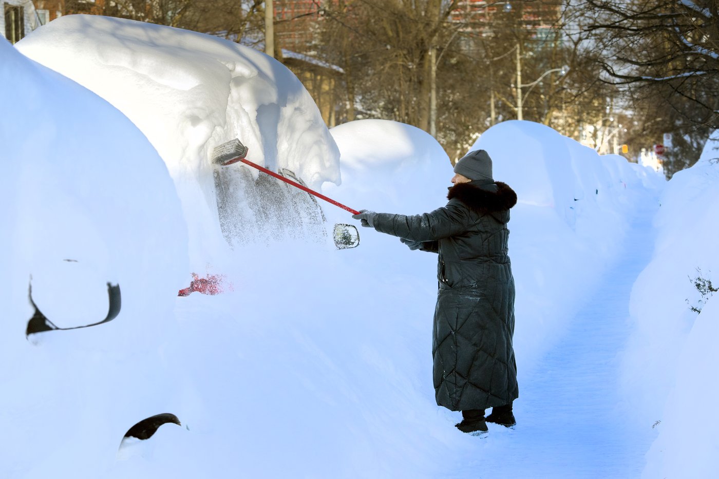 Cleanup will take 'days' after record-breaking Toronto snowstorm, city officials say | iNFOnews.ca