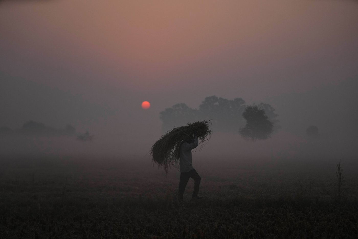 The top photos of the day by AP's photojournalists | iNFOnews.ca