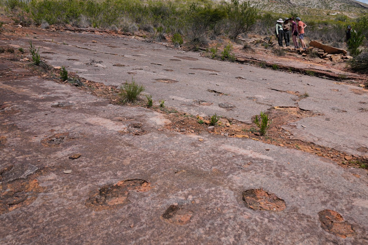 16,000 fossil footprints in central Bolivia reveal dinosaur behavior | iNFOnews.ca 16,000 fossil footprints in central Bolivia reveal dinosaur behavior | iNFOnews.ca