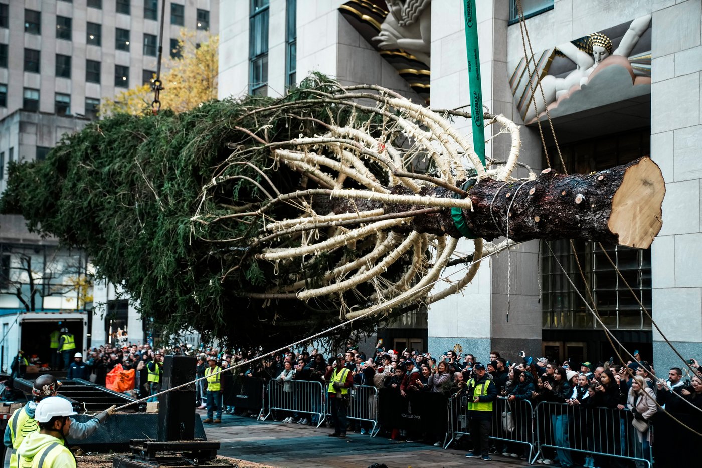 Rockefeller Center Christmas tree arrives in Manhattan, kicking off New York's holiday season | iNFOnews.ca