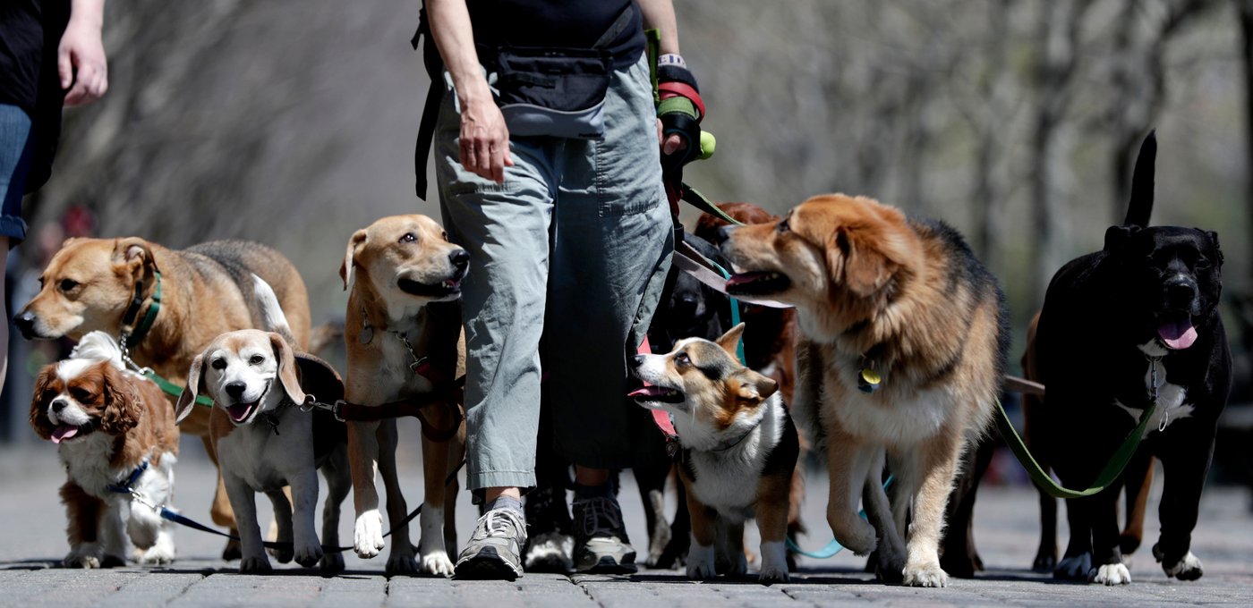 Why ordering takeout or calling the dog walker might lead to a happier relationship | iNFOnews.ca