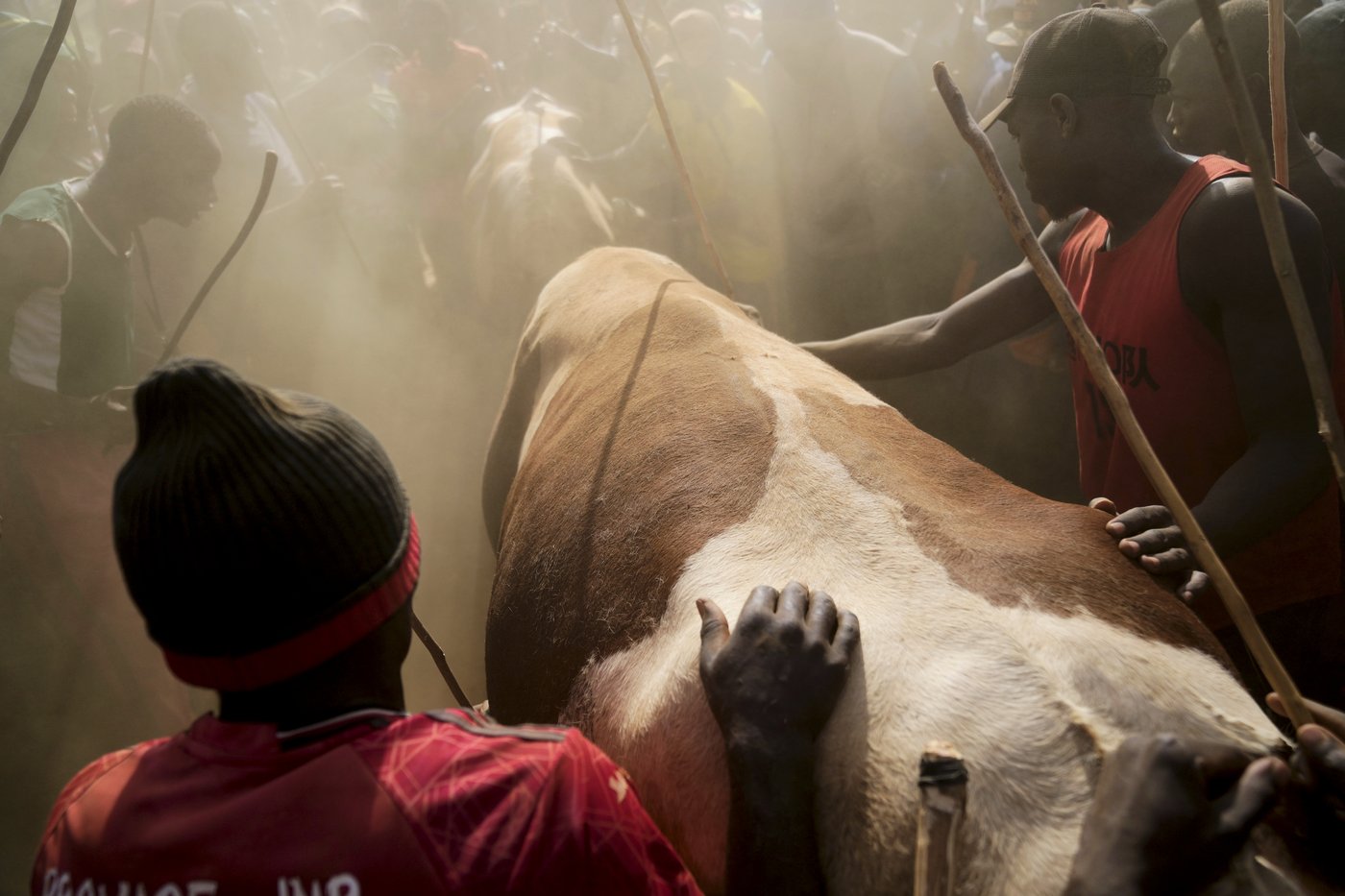 Photos show a bullfight in Kenya, where an ancient sport attracts modern-day bets | iNFOnews.ca