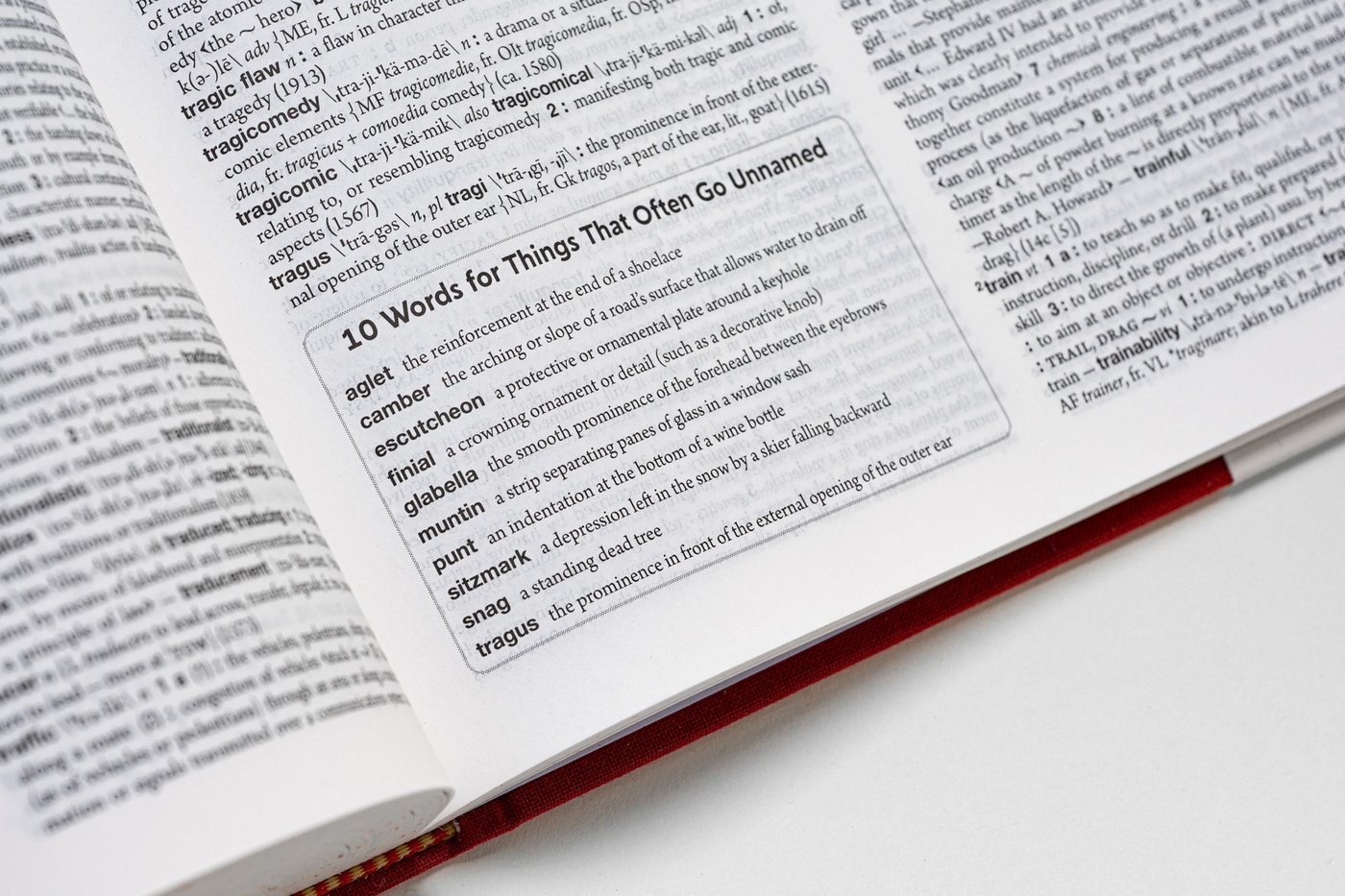 Hard pass. Cold brew. Dad bod. Merriam-Webster adds over 5,000 words to 'Collegiate' dictionary | iNFOnews.ca