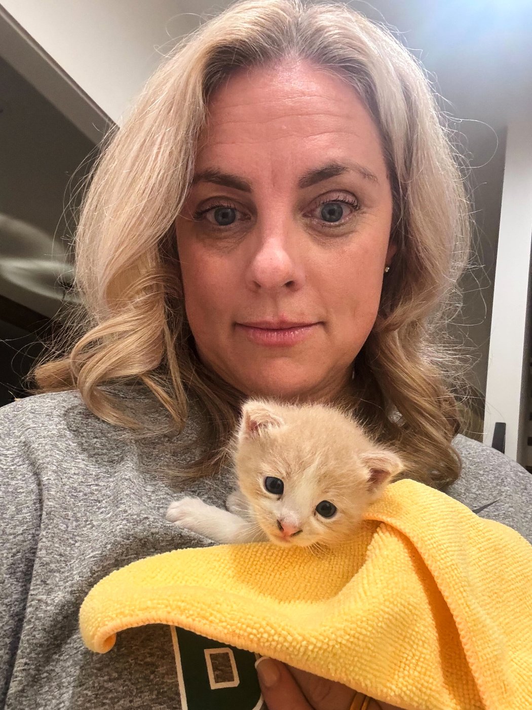 A mysterious meow from her car introduces Baylor coach Nicki Collen to a new family member | iNFOnews.ca
