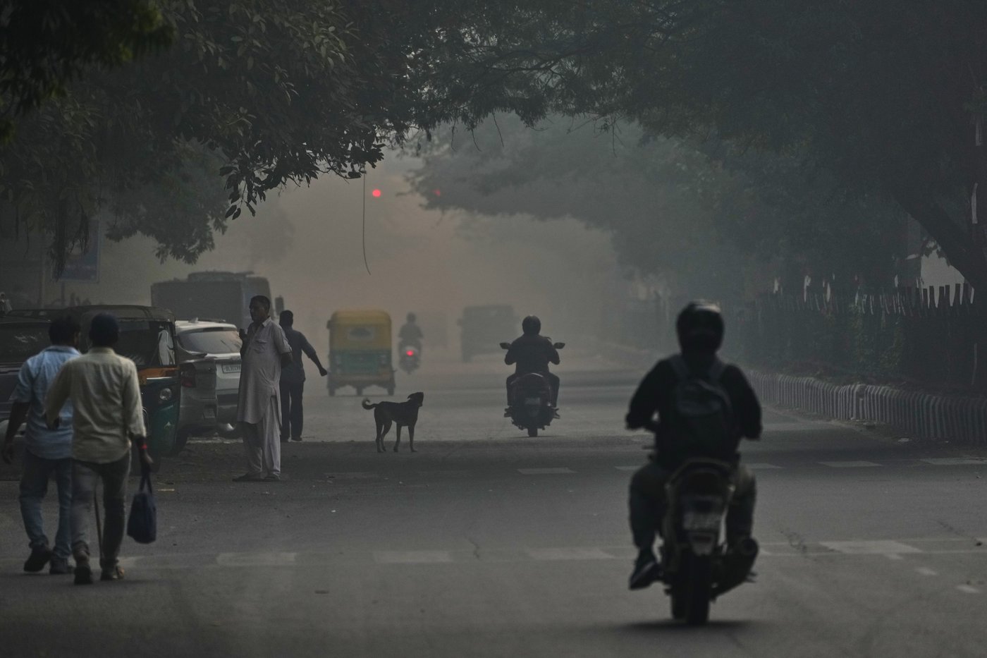 Thick, hazardous smog blankets New Delhi after Diwali fireworks | iNFOnews.ca