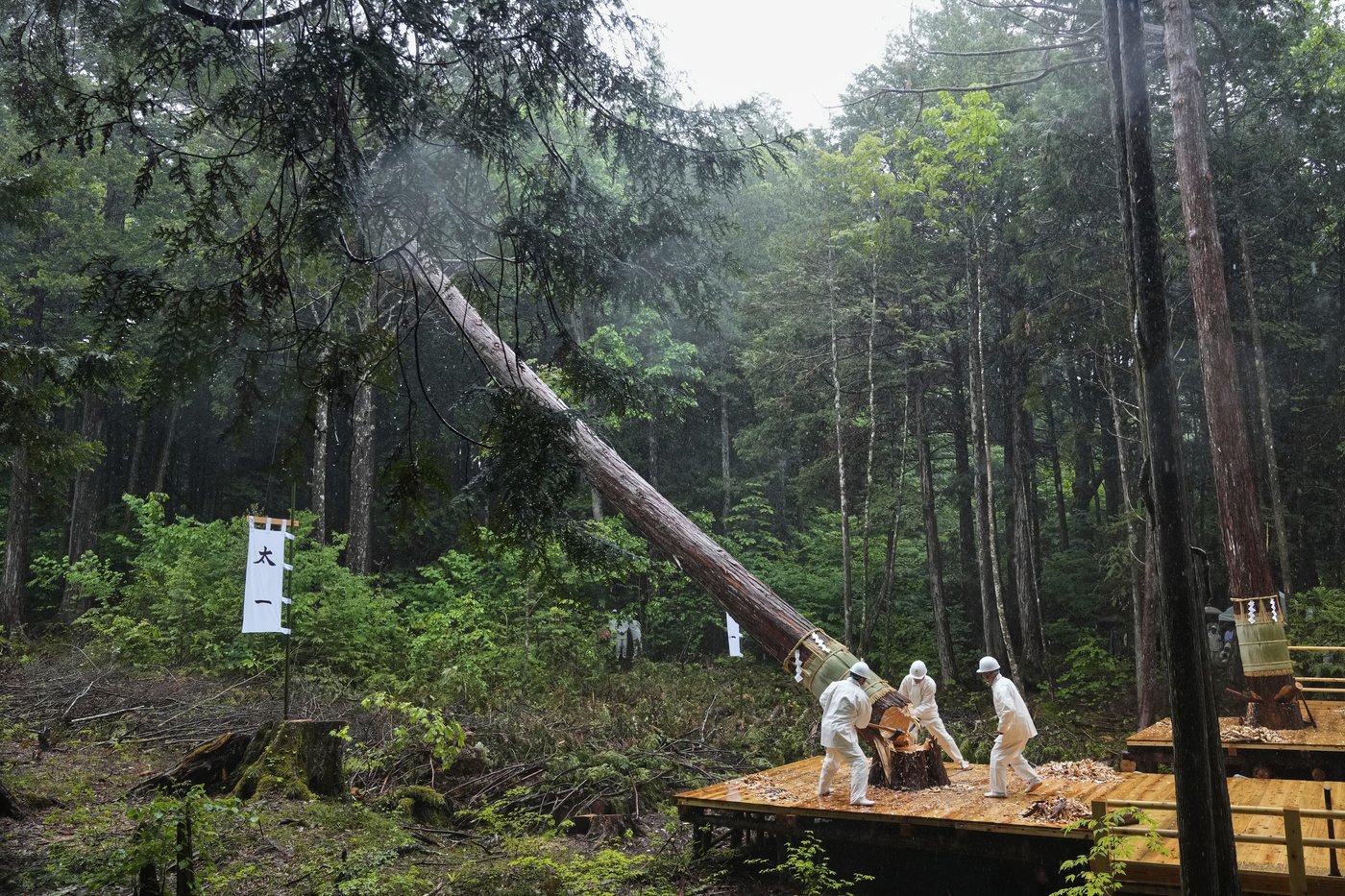 Photos show historic Japanese shrine that is torn down and rebuilt every 20 years | iNFOnews.ca