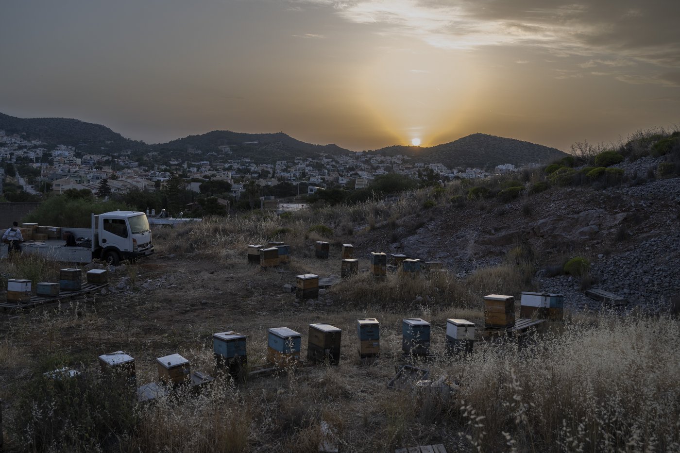 Rooftop beekeeping in Athens: A new buzz in urban ecosystems, in photos | iNFOnews.ca