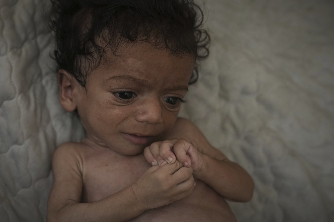 More experts see genocide in Israel's wartime conduct in Gaza | iNFOnews.ca