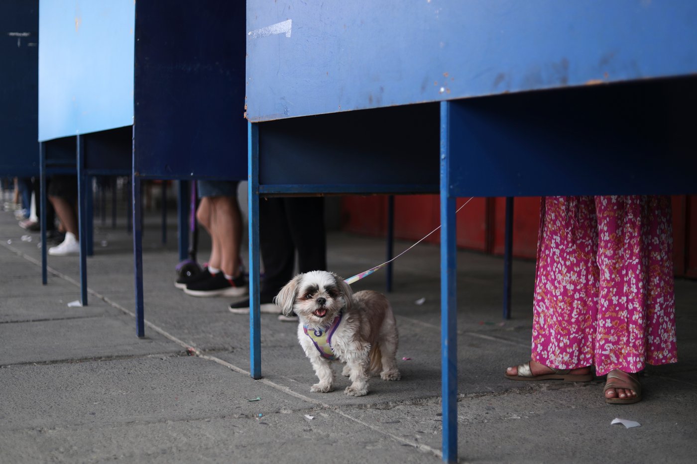 Photos from Chile's general elections | iNFOnews.ca