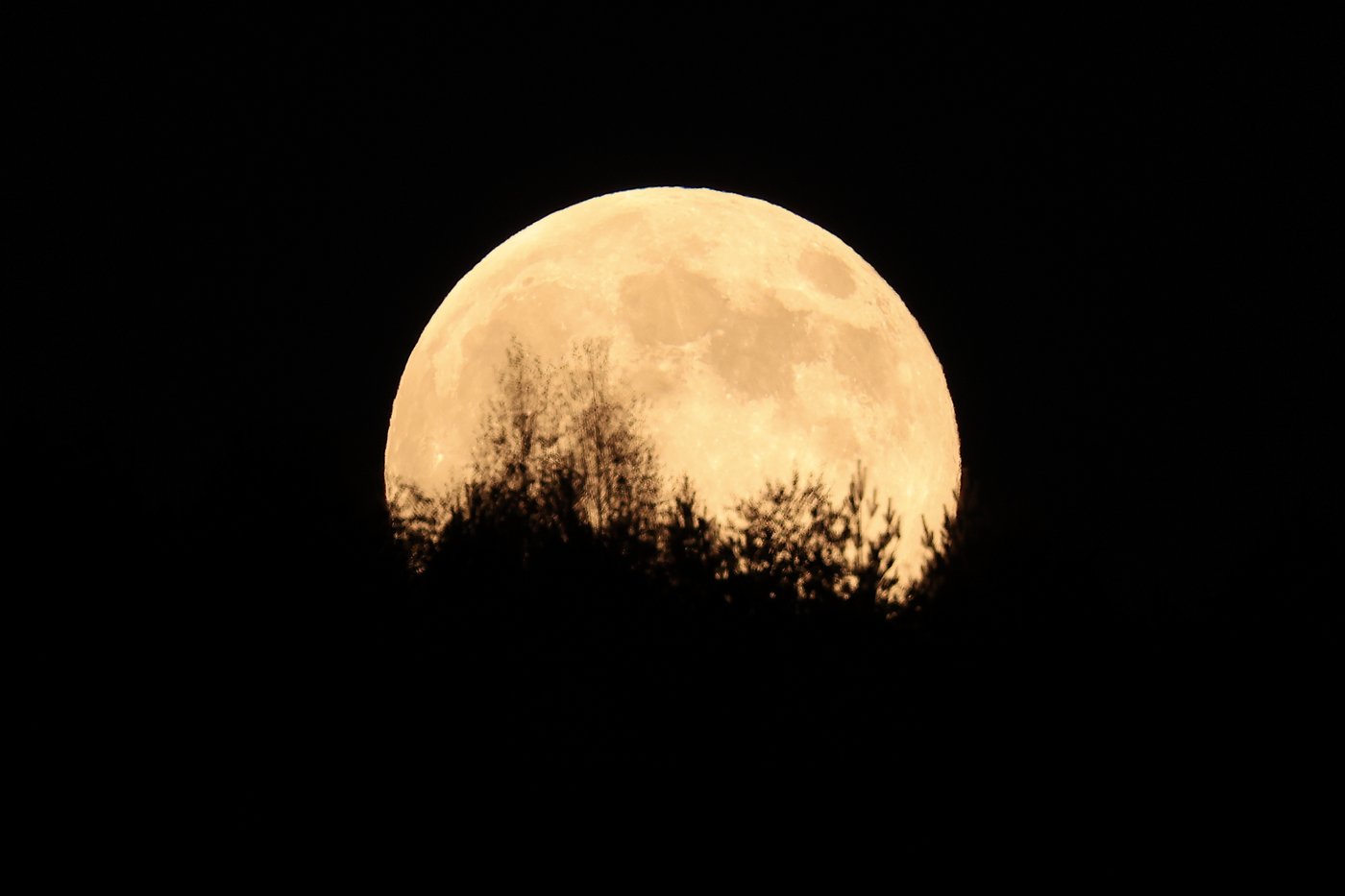 Bigger, brighter, closer: November's supermoon in photos | iNFOnews.ca Bigger, brighter, closer: November's supermoon in photos | iNFOnews.ca