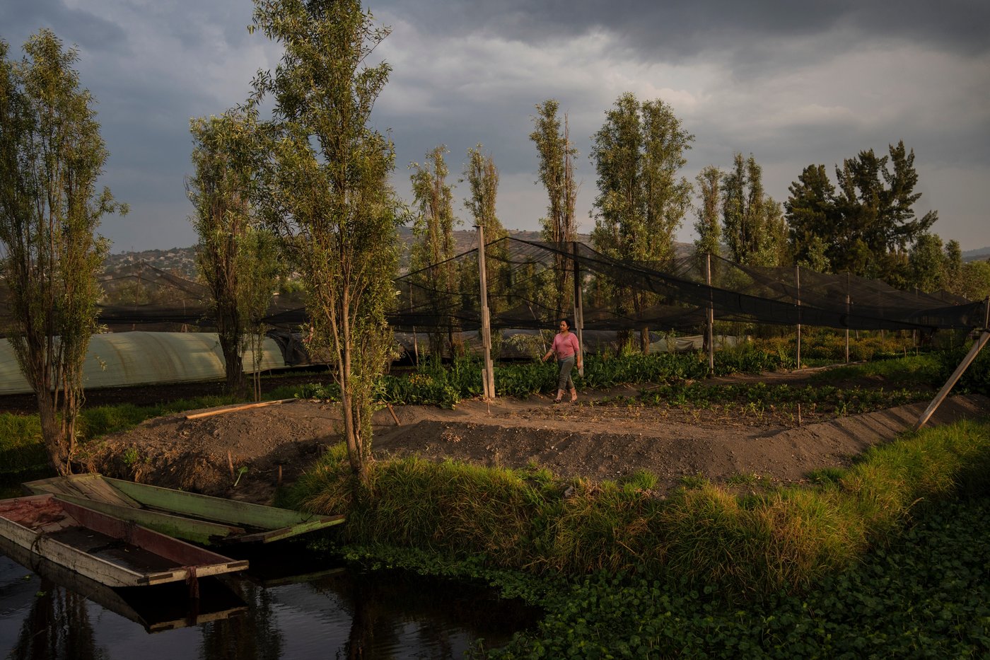 Women in Mexico step up to protect ancient Aztec farms and save a vanishing ecosystem | iNFOnews.ca